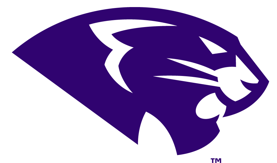 High Point Panthers 2017-Pres Secondary Logo v2 DIY iron on transfer (heat transfer)